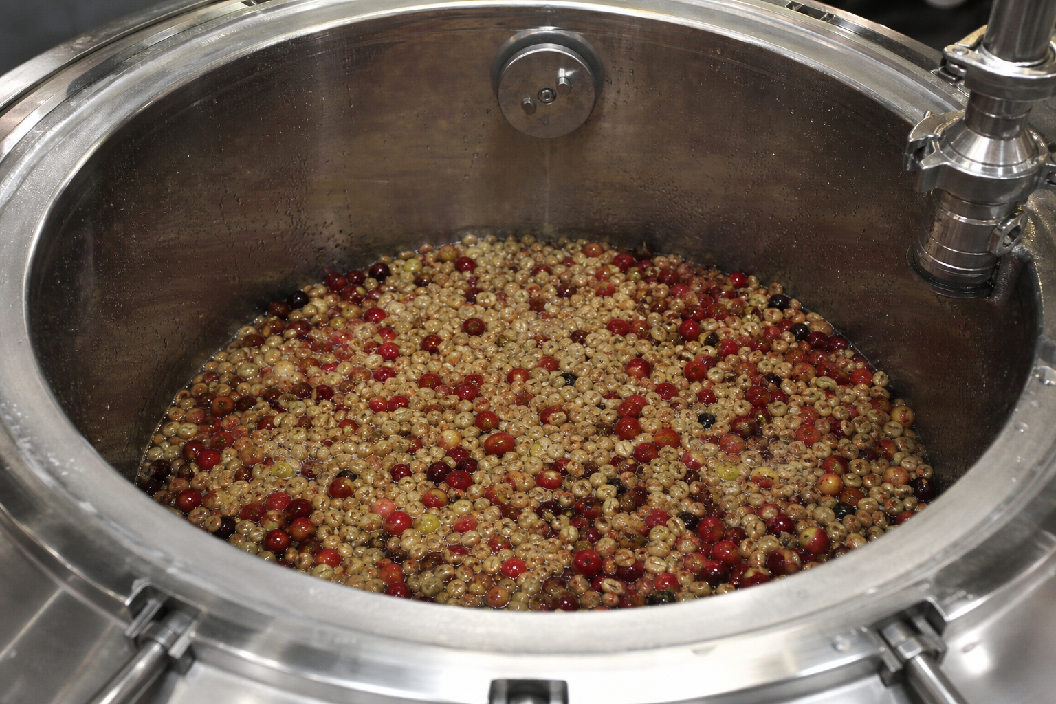 Sealed coffee fermentation tank