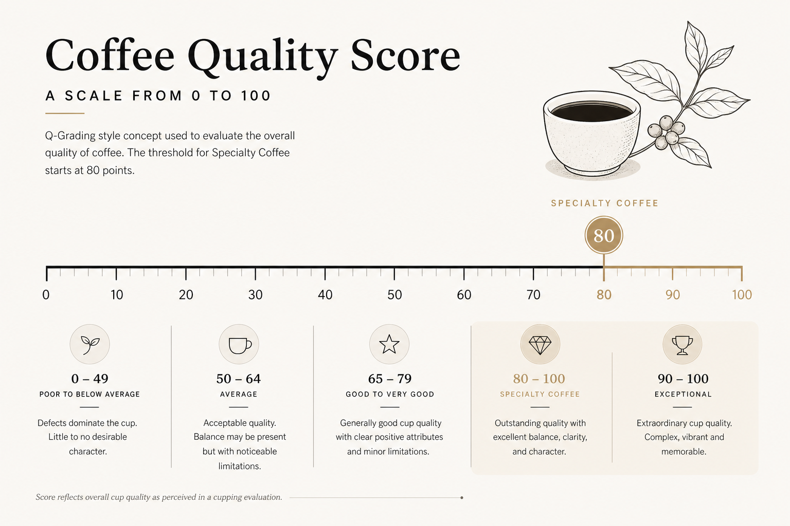 Specialty coffee score