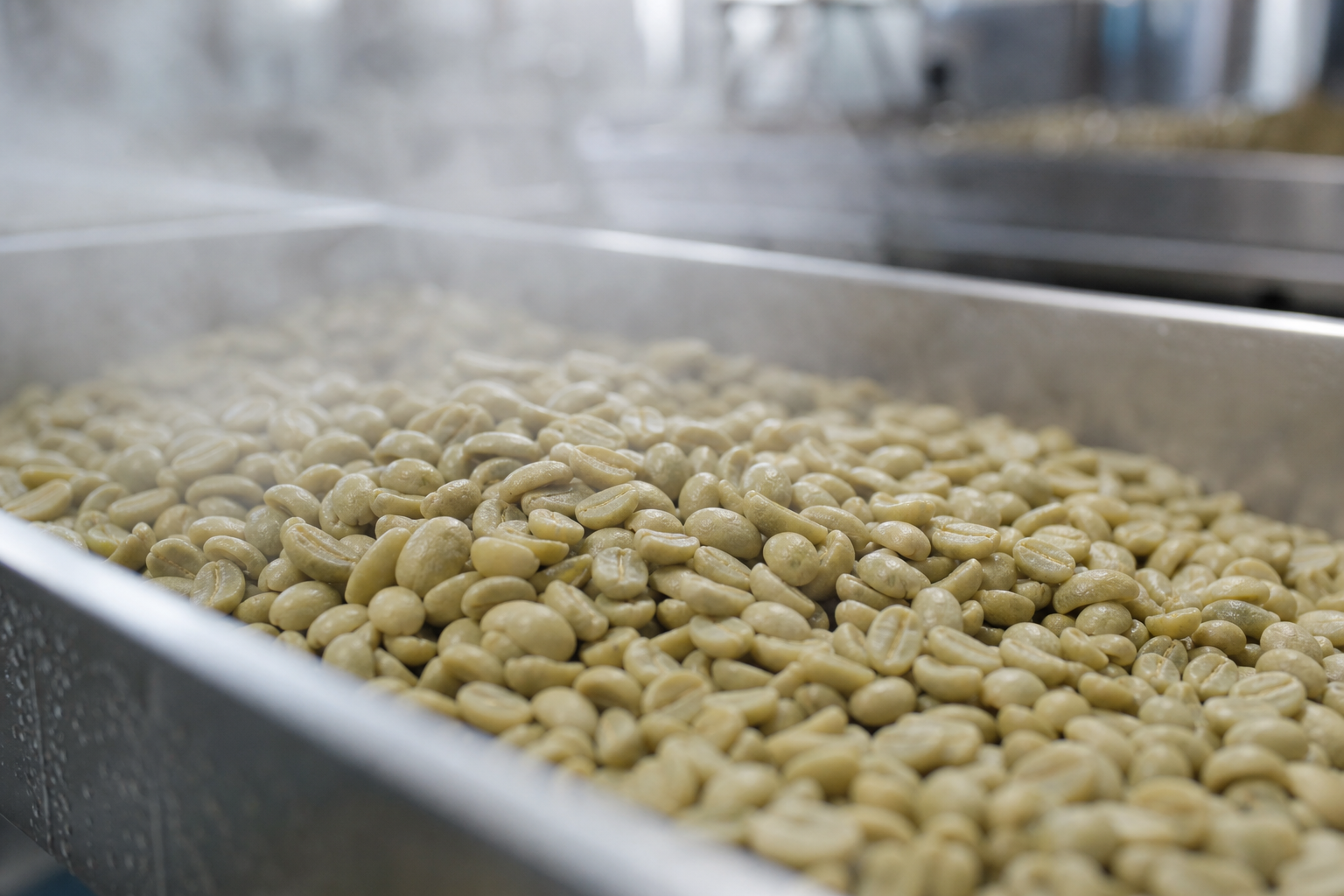 Green decaf coffee beans