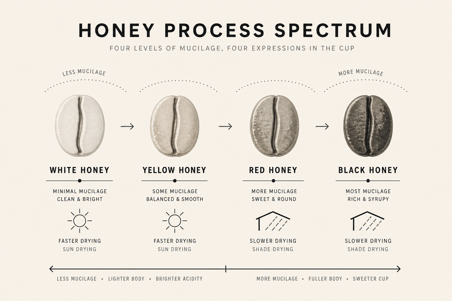 Honey process spectrum